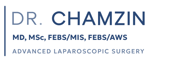 DR-Chamzin-logo